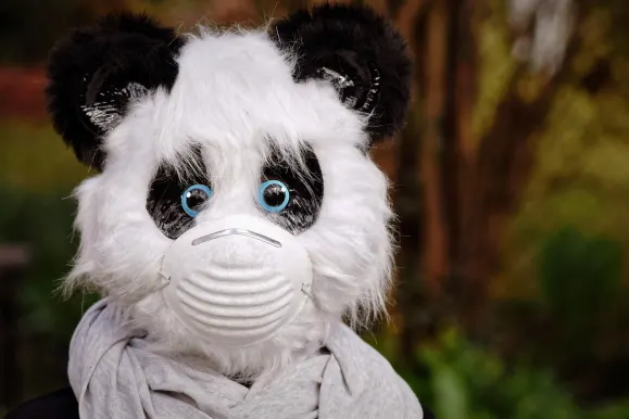 빗코자 카지노 지원